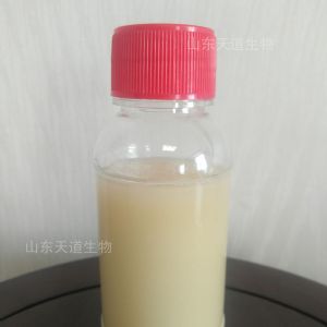 農乳603P