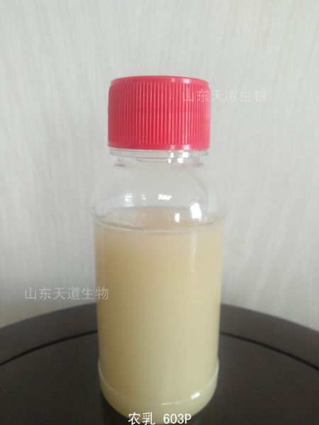 農乳603P