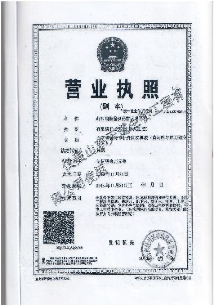 天道三廢檢測(cè)報(bào)告 (9).jpg