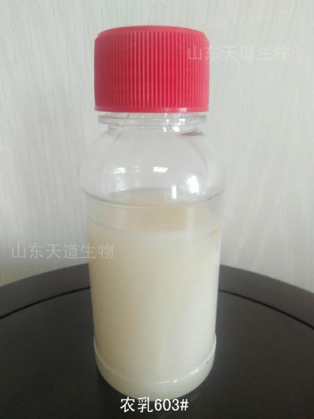 農乳603#